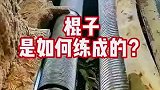原来棍子是这样制作的，棍棒底下出孝子啊