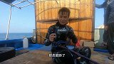 大深蓝潜水撬鲍鱼，老表天天石斑不离手，阿锋频繁下潜减压病发作