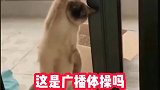 快来帮我啊，我一个人整不开