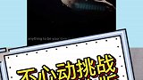 来咯来咯！姐姐们来咯