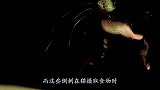 为什么猫吃鱼从不怕卡刺？镜头放慢50倍，解开心中多年疑惑！