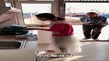 爷爷又调皮了，孙女在做饭，你这样恶作剧真的好吗？结果搞笑了