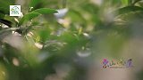 来自山海间的美食，绿茶和海鲜的碰撞，慰藉异乡的游子思乡情！