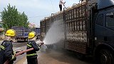 货车抛锚致千余只鸡差点“中暑” 消防员用水枪给鸡“洗澡”降温