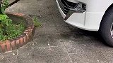 你把这个叫做宠物，哥们你赶紧自首去吧