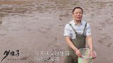 农村鱼塘过年清塘，四娃跑去捡漏收获还不错，田螺鲫鱼鲤鱼都有