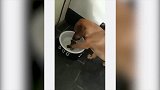 萌宠视频：天啦撸，这喵也太胖了，说好不要给猪染色，圆圆的一坨