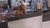 女孩的心思男孩你别猜！