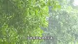 中秋国庆假期天气地图出炉：北方秋意浓南方多地雨频繁