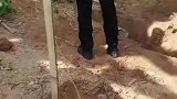 被抓到缅北的小伙，想逃跑就是这个下场