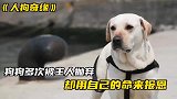 狗狗多次被人抛弃，最后却舍命救主人！