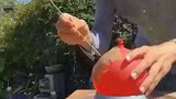 老外拿出一个带水的气球，小棍扎进气球后真会玩啊！