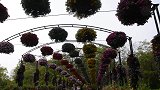 扬州廋西湖-万花园