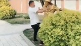 每天不被打几顿都皮痒