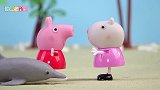 汪汪队：一只海豚在海边遇到危险，佩奇和狗狗们可以解救成功吗？