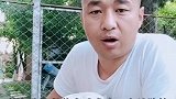 宠物狗每天更新，养犬知识。
