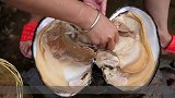 农村女孩捡到一个“珍珠蚌”，狠心切开吃蚌肉，下一秒不淡定了