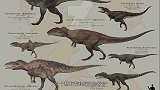 恐龙时代巅峰级别的食肉恐龙，北非红树林之王鲨齿龙【恐龙时代】