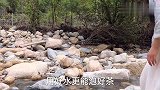 武夷山“偷”农夫山泉水泡茶，不小心湿身，青茶妹子这次太拼了！