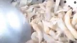 厨师长教你做葱姜炒蛏子皇，做法简单易学，非常好吃！