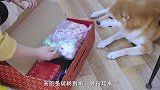 圣诞快乐！黄油蜂蜜烤鸡安排上，快和家人分享吧！