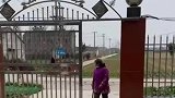 狗狗偷跑出去不回家，大妈提棍在大门口等待