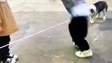 小时侯跟我一起玩那个都不会捡