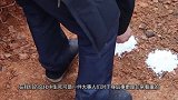 3D动画模仿死后埋葬全过程，入土为安难道是假的吗？看哭了