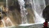 旅游-九寨沟03-珍珠滩瀑布