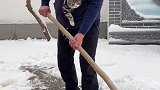 叨乐生中的第一场雪，不知道它是什么感受？今天还特别乖，一开车门就上车田园生活 猫雪