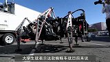 大学生发明“蜘蛛车”，重700斤有8条腿，网友：这要考驾照？