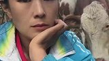 小牛犊被拉走卖掉，牛妈妈一直顶女主人求救孩子