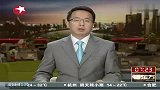 热点-上海“树屋”因违章搭建被拆除