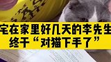 清华博士给猫讲函数