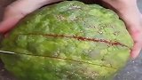 大哥以为果实是红的，切开之后才知道，白瞎这花式刀法