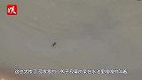 两只老虎盯上水塘里的小鸭，本来只在池边观望，下一秒画风突变！