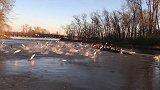渔船刚划到河里，河面瞬间水花四溅，网友：全是鱼