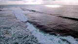雄性座头鲸在海洋中持续30分钟的单曲循环叫声有何用意？