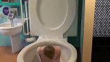 会“吃人”的马桶，你想去体验一下吗？