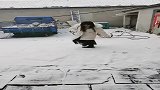 姑娘雪地里玩耍，没想到下一秒钟，悲剧了！