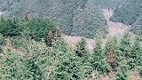 三岔土木溪水库