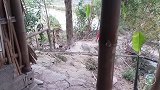 简单粗暴的捕鱼方法！实拍越南农村人怎么捕鱼