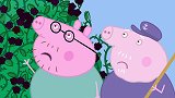 猪妈妈掉进了黑莓丛里，佩奇一下想到了睡美人的故事