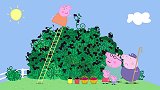 猪妈妈掉进了黑莓丛里，佩奇一下想到了睡美人的故事
