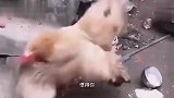 大哥这车开得厉害，车胎都开成“花”了
