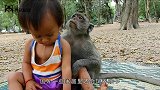 猴子被大蛇拖入水中，男孩准备上前搭救，镜头记录惊险过程