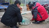 实拍农村热闹捕鱼现场，几个壮汉拉一张网，丰收的喜悦，太惊喜了