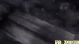 你这一球把我干哪去了