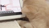 麻，你看这女的，身材不错呀，我摸摸
