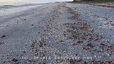 小伙在海上发现“方形”海浪，急忙跑去观赏，接下来不淡定了